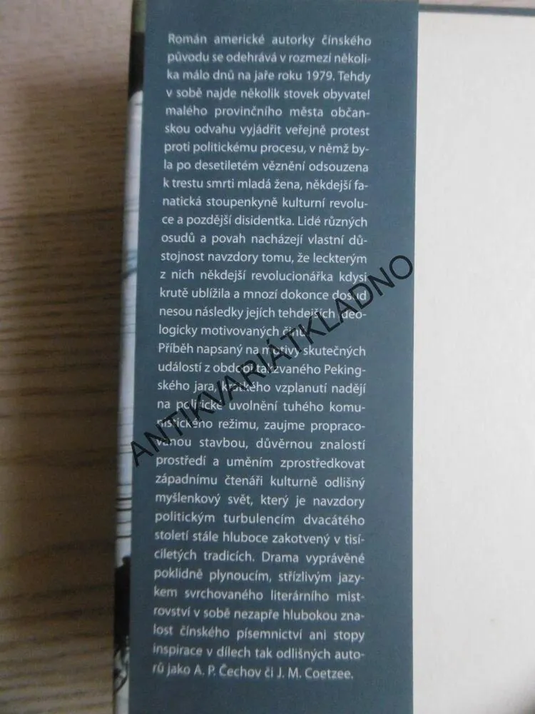 UBOŽÁCI, YIYUN LI, **an