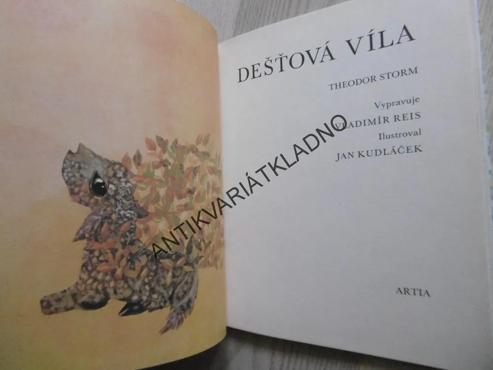 DEŠŤOVÁ VÍLA, THEODOR STORM, **an
