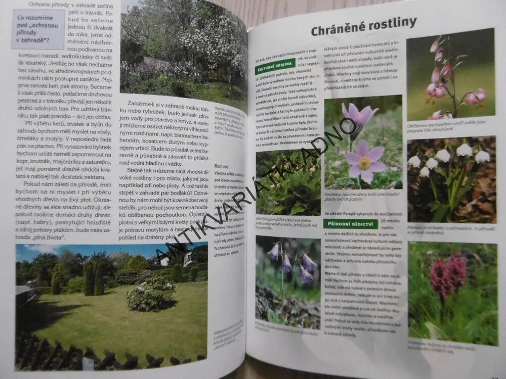 KVĚTINY V PŘÍRODĚ, EDICE CO JAK PROČ, SV.49 **an