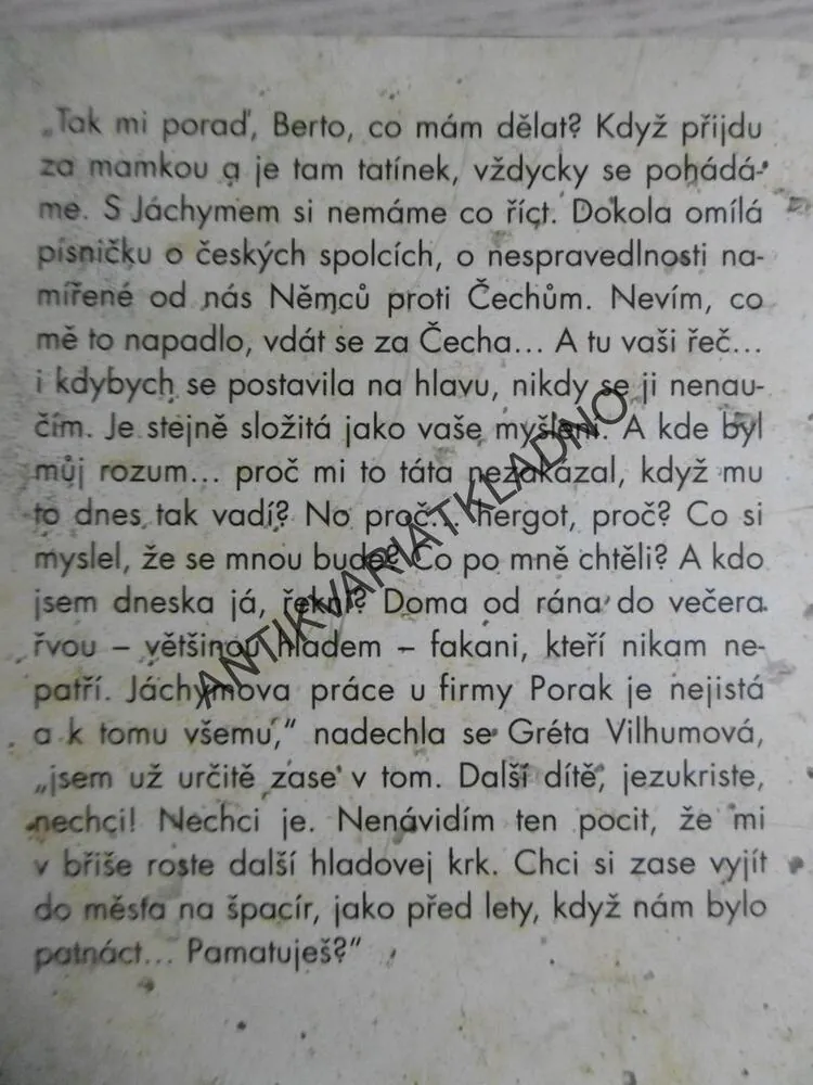 KAVKY NAD MĚSTEM, VLASTA DUŠKOVÁ, **an