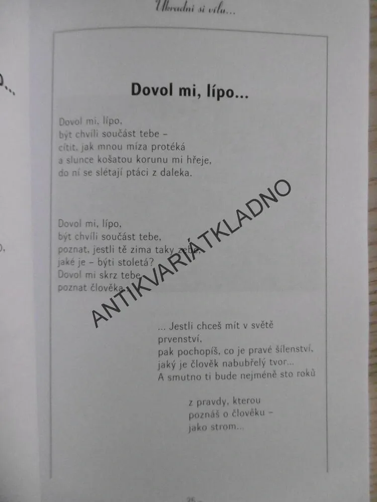 UKRADNI SI VÍLU..., MIRKA ERTLOVÁ