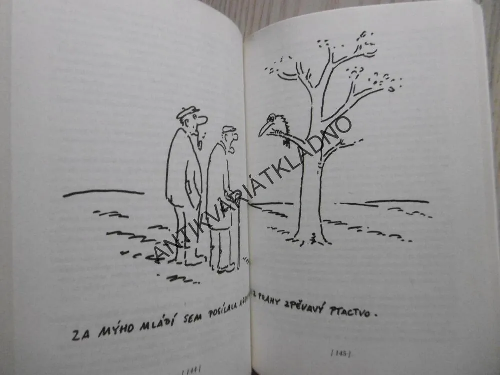 Z MÉHO ŽIVOTA, FRANTIŠEK RINGO ČECH, **an