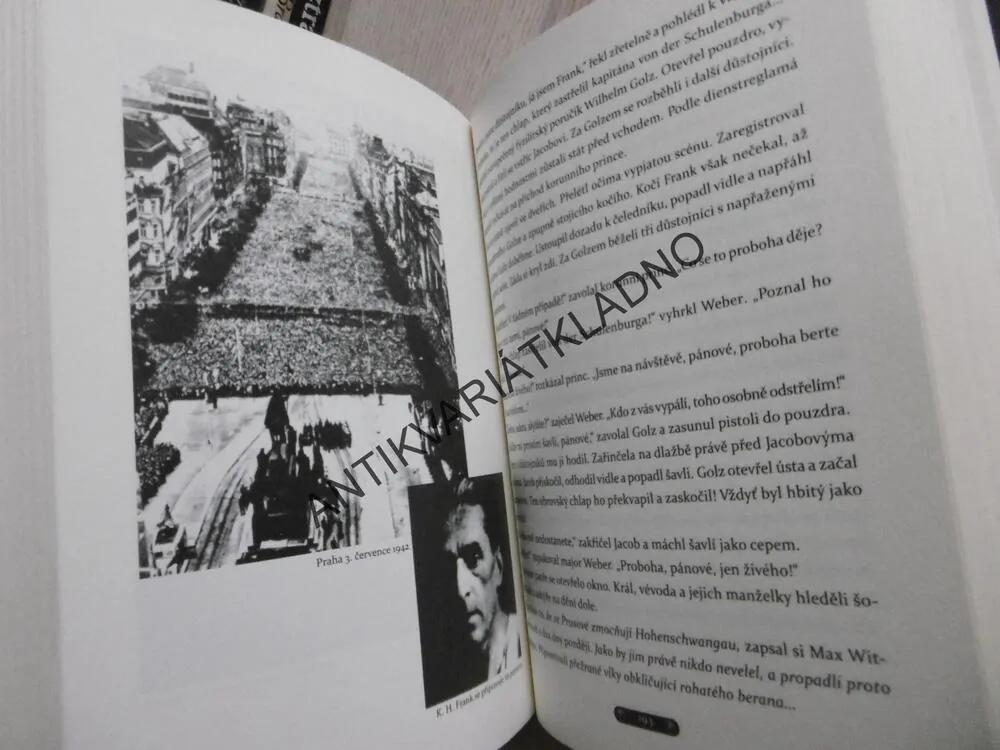 SVLEČENI BOHYNĚMI, PETR FRANK, **an