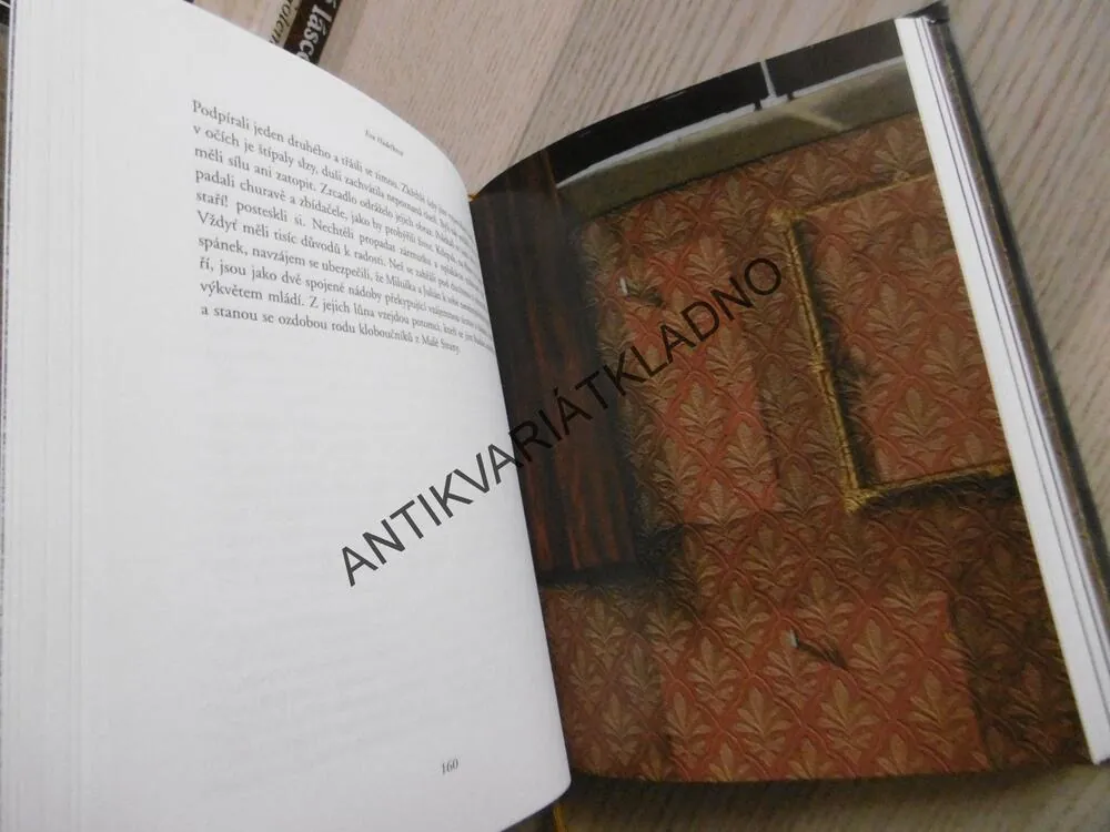 TAJEMSTVÍ PRAŽSKÉHO ŠOTKA, EVA HUDEČKOVÁ, **an