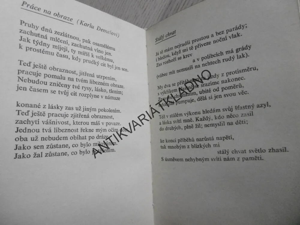 PRŮVODKYNĚ CIZINCŮ, PETR SKARLANT, **an