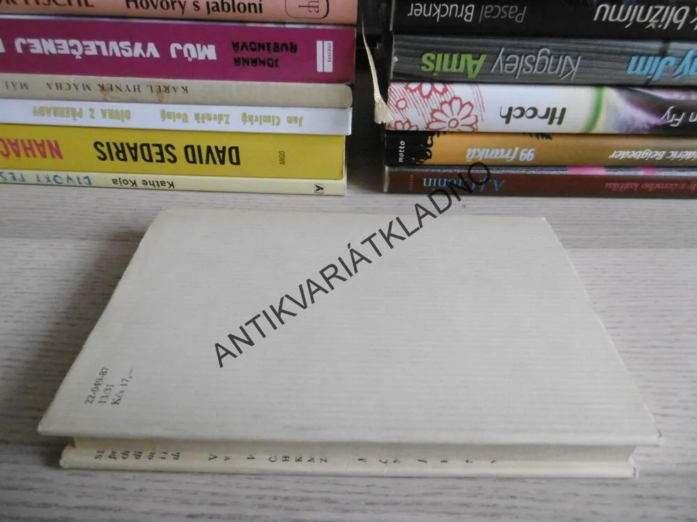 DIVÁ BÁRA A JINÉ PRÓZY, BOŽENA NĚMCOVÁ, **an
