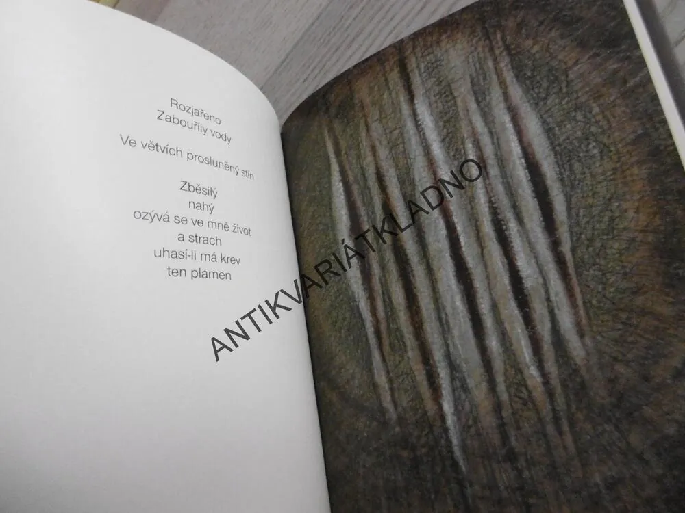 POHYBY OČÍ, ZUZANA HUTŇANOVÁ, **an