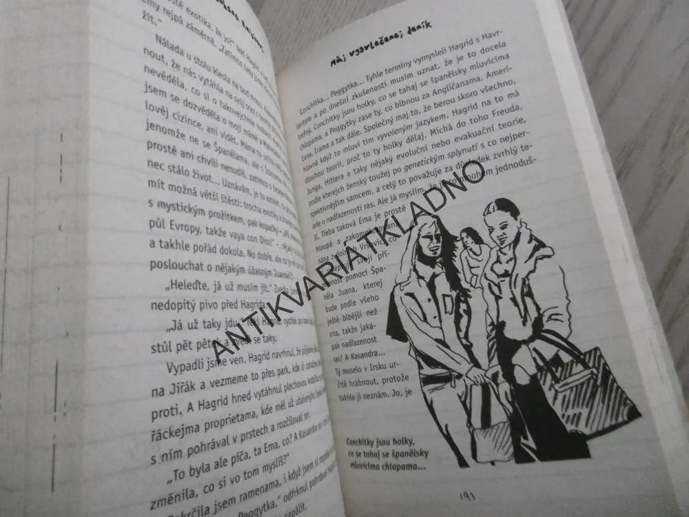 MŮJ VYSVLEČENEJ DENÍK, JOHANA RUBÍNOVÁ, **an