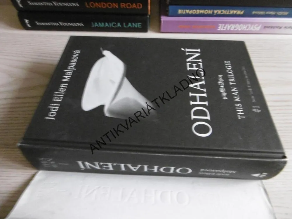 ODHALENÍ, THIS MAN TRILOGIE 1., JODI ELLEN MALPASOVÁ **an