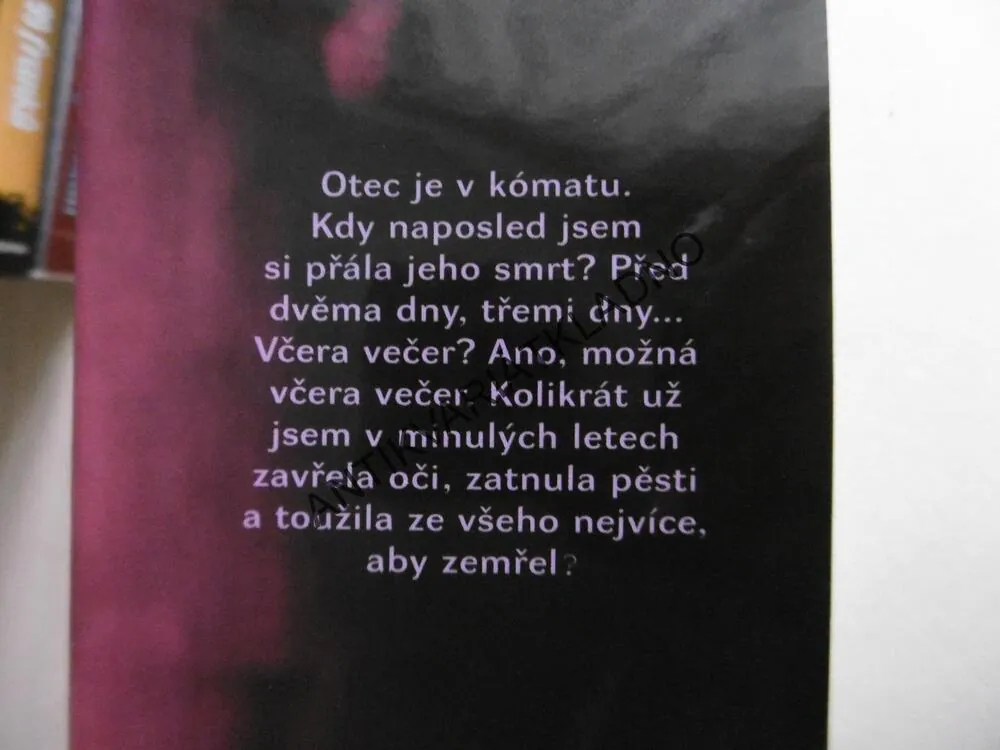 NEPLÁČE, ZPÍVÁ, AMÉLIE SARNOVÁ, **an