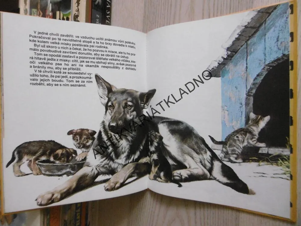 KDE NAJDE NOVÉ KAMARÁDY TOM, PŘÍBĚH ŠTĚNĚTE BEZ PÁNA, PETER HOLEINONE, NEMO, 1992, **an