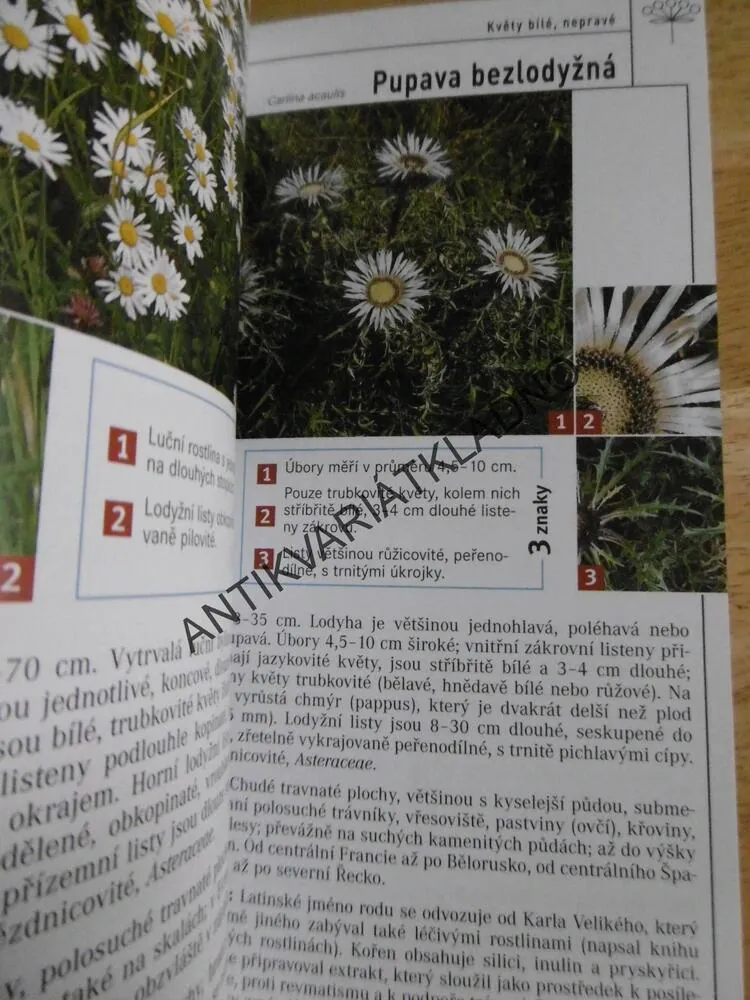 KVĚTINY, PRŮVODCE PŘÍRODOU, URČOVÁNÍ PODLE 3 ZNAKŮ, SEIDEL, HERBÁŘ