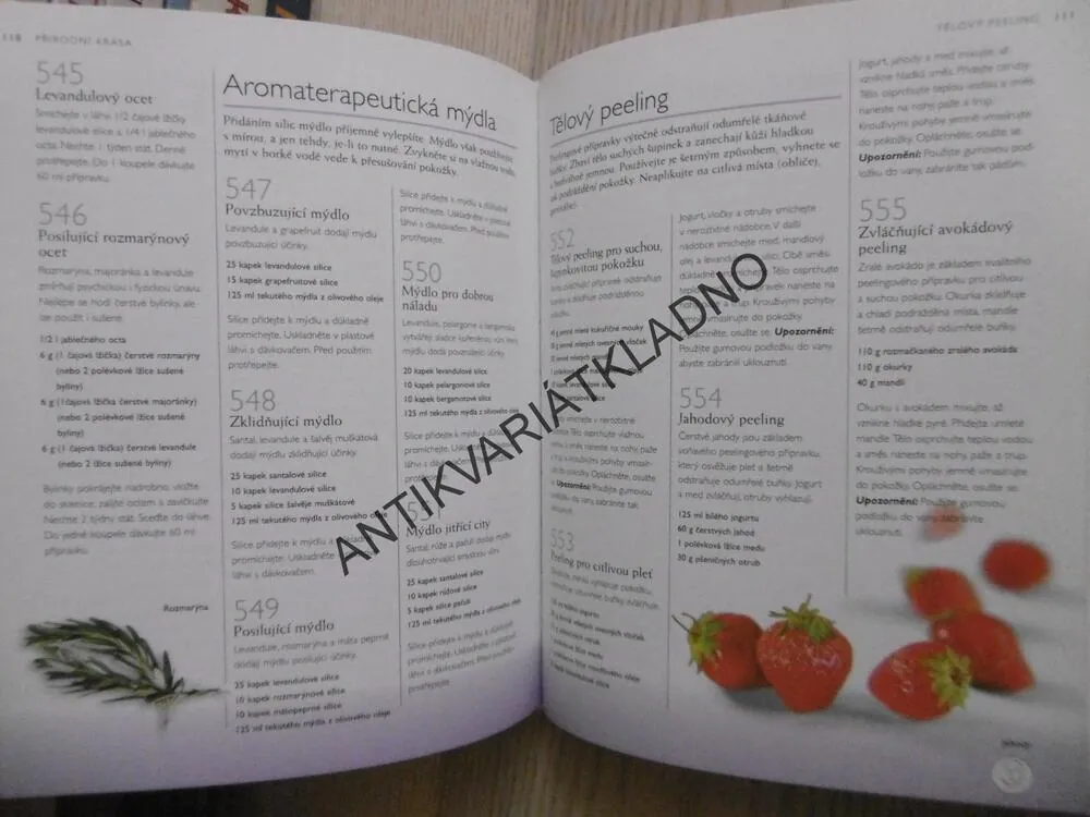 1001 PŘÍRODNÍCH PROSTŘEDKŮ, RECEPTY PRO ZDRAVÍ, KRÁSU A DOMOV, LAUREL VUKOVICOVÁ, **an