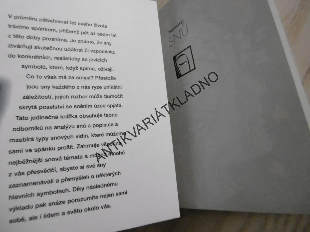 TAJEMSTVÍ SNŮ, CARO NESSOVÁ, **an