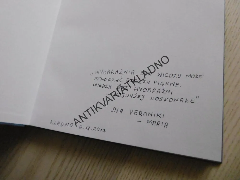 GEJŠA, JEDINEČNÝ SVĚT TRADICE, ELEGANCE A UMĚNÍ, JOHN GALLANGHER, **an