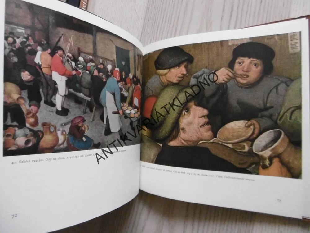 MALÁ GALERIE - PIETER BRUEGEL, **an