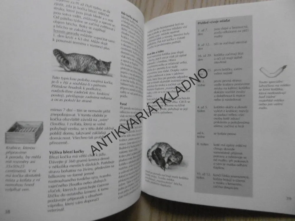 KOČKA, JAK NA TO, KATRIN BEHRENDOVÁ, **an
