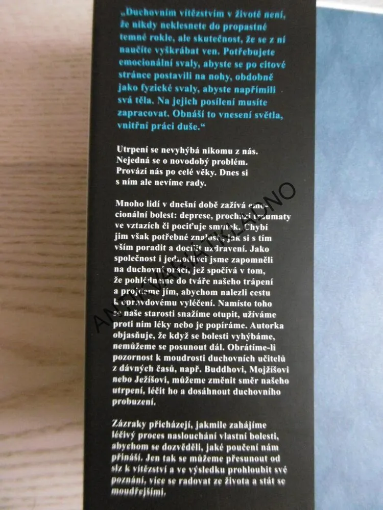 OD SLZ K VÍTĚZSTVÍ, MARIANNE WILLIAMSON, **an