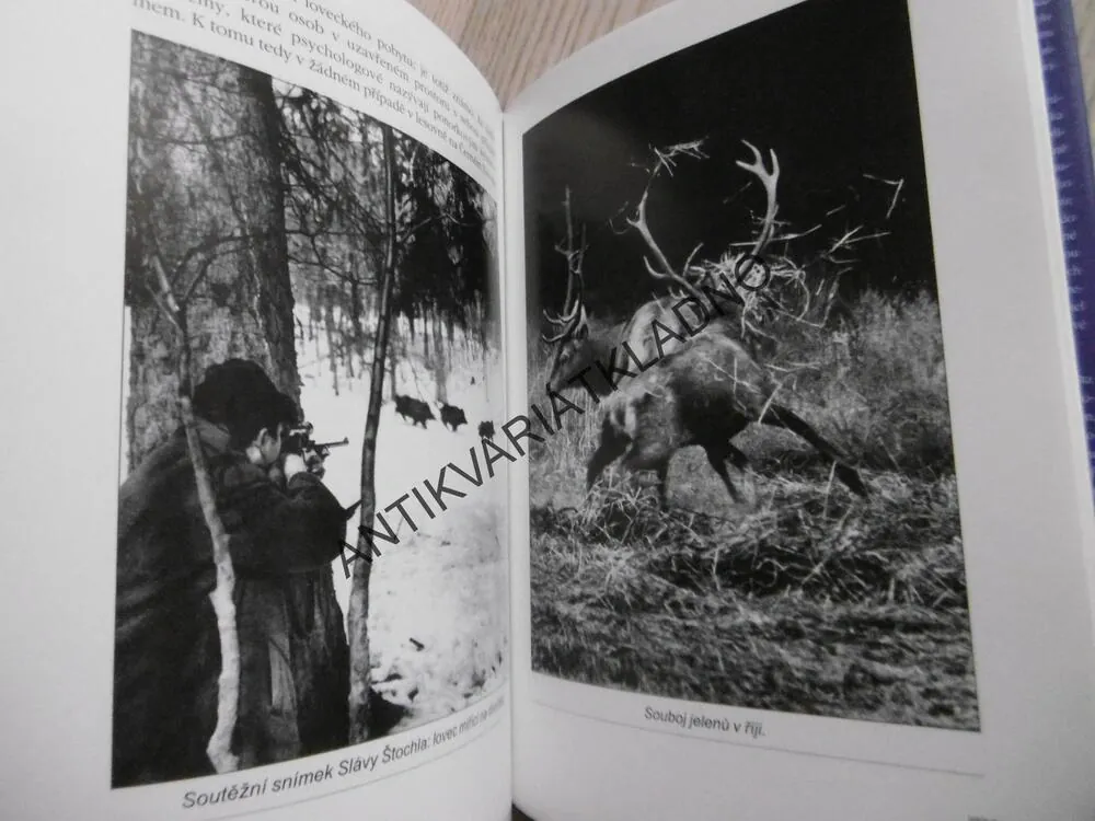 PŘÍBĚHY LOVECKÝCH FOTOGRAFIÍ, VLADIMÍR PAULIŠTA, **an