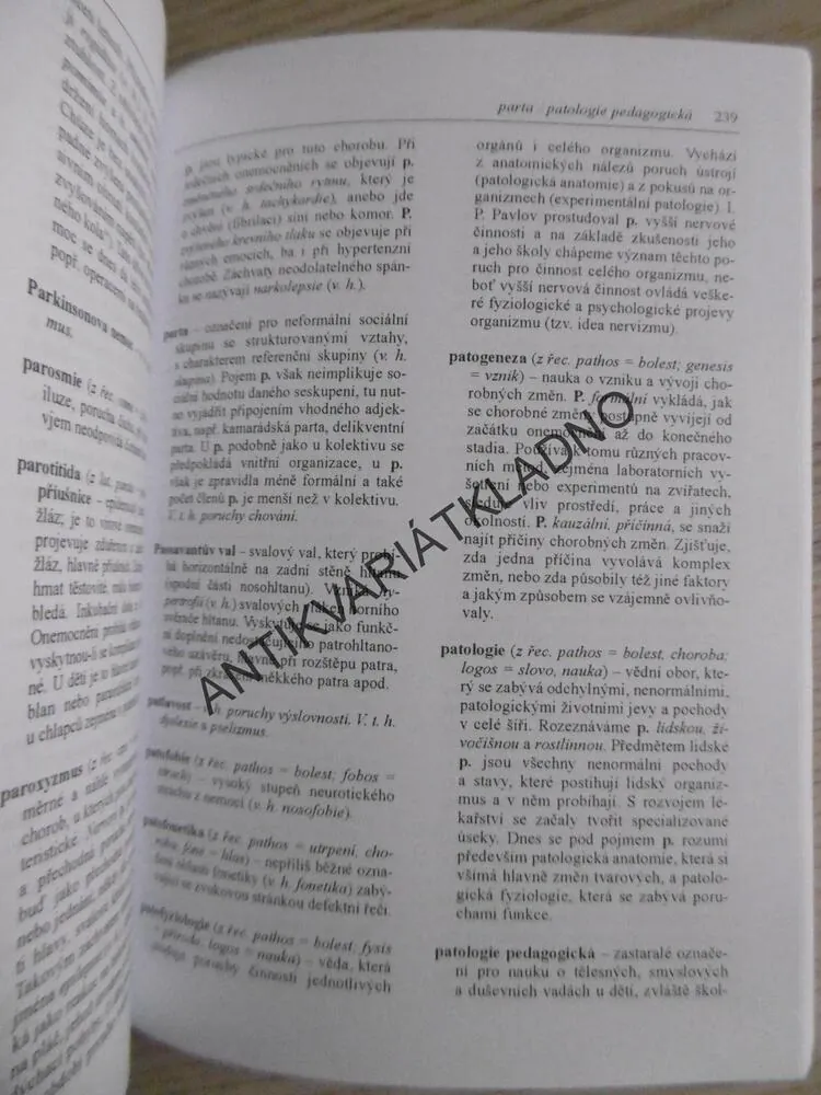 DEFEKTOLOGICKÝ SLOVNÍK, **an