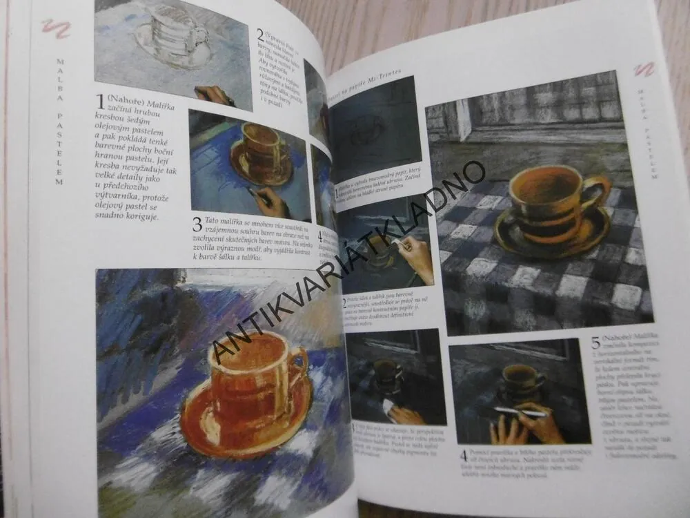 KRESLENÍ TUŽKOU A PASTELEM, HAZEL HARRISONOVÁ, **an