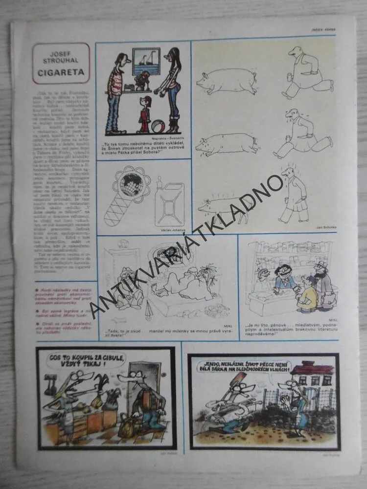 DIKOBRAZ 12/1980