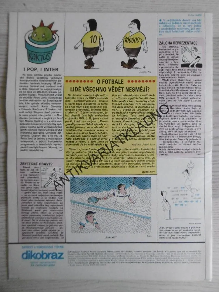 DIKOBRAZ 36/1986