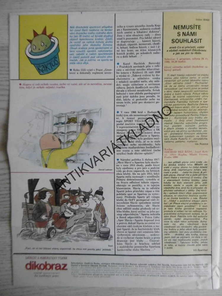 DIKOBRAZ 51/1986