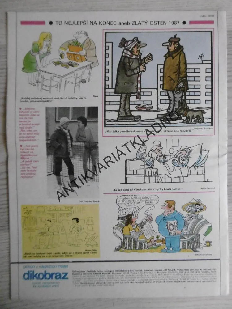 DIKOBRAZ 2/1987