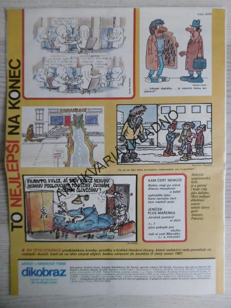DIKOBRAZ 4/1987