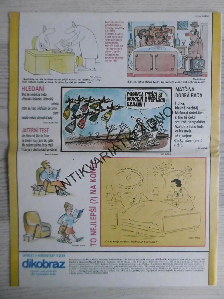 DIKOBRAZ 10/1987