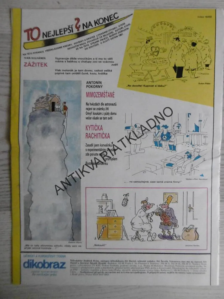 DIKOBRAZ 12/1987