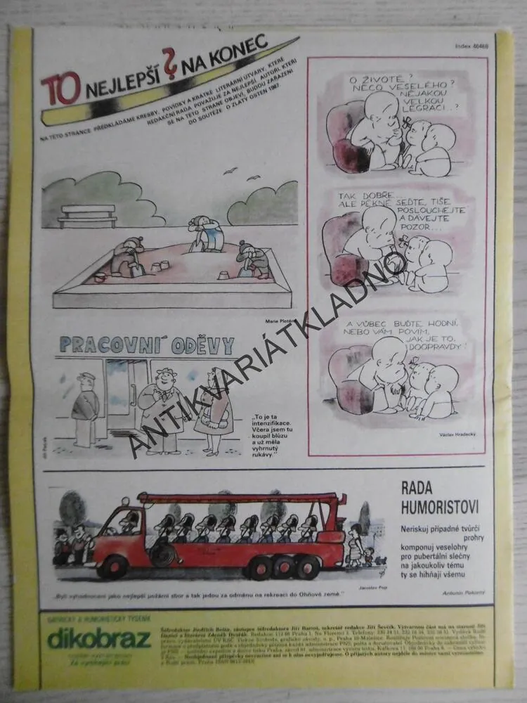 DIKOBRAZ 16/1987
