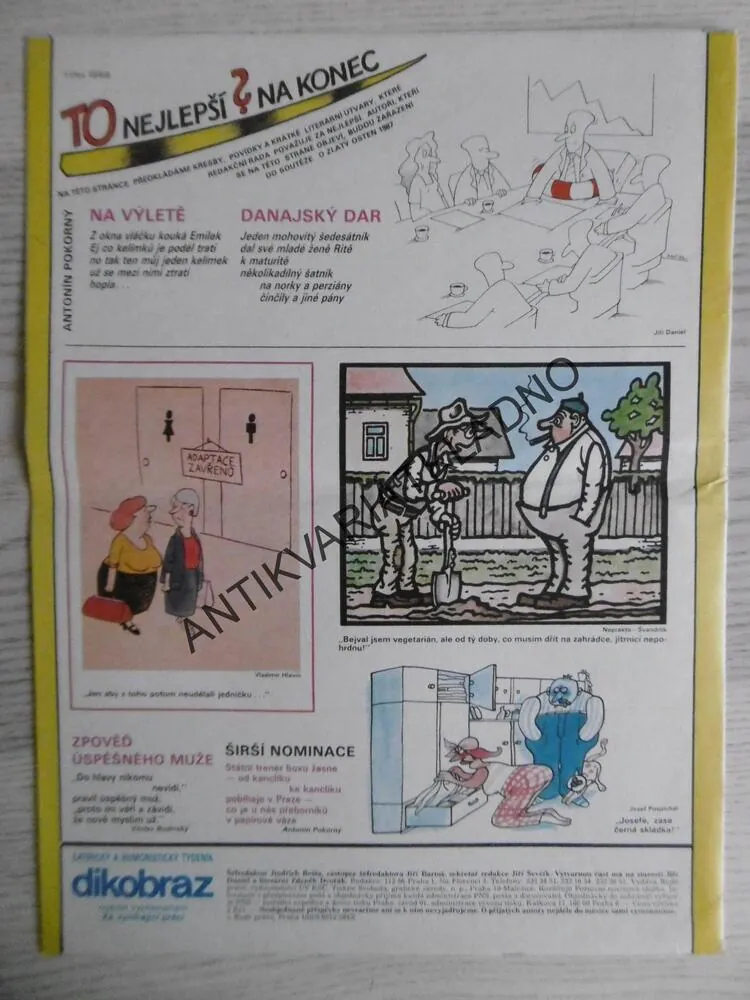 DIKOBRAZ 24/1987