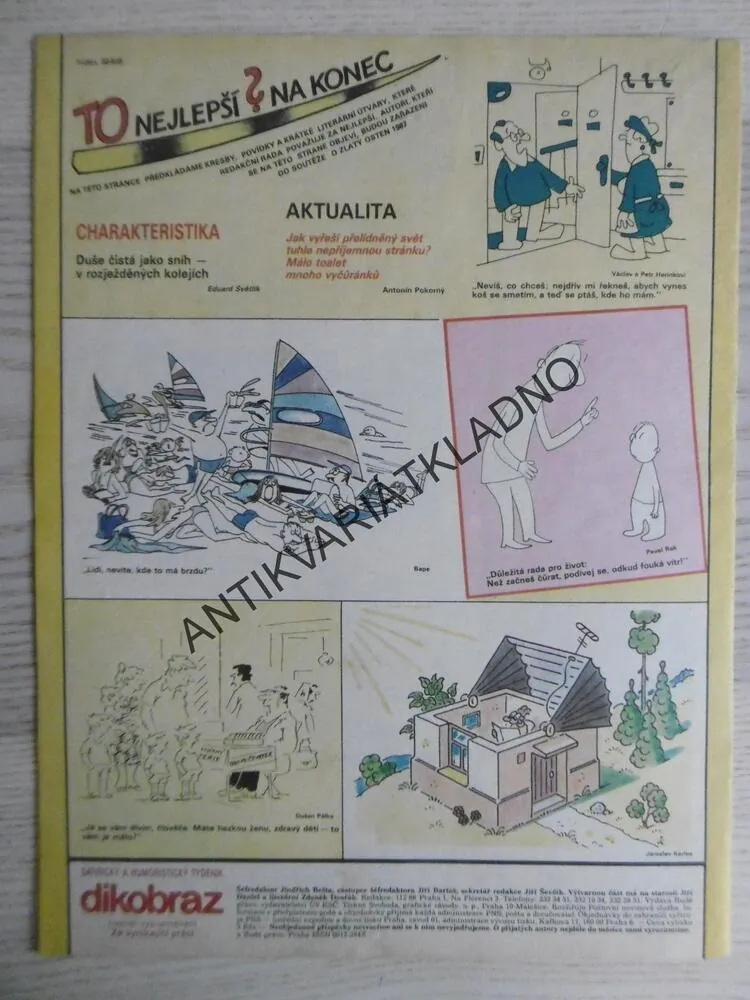 DIKOBRAZ 28/1987