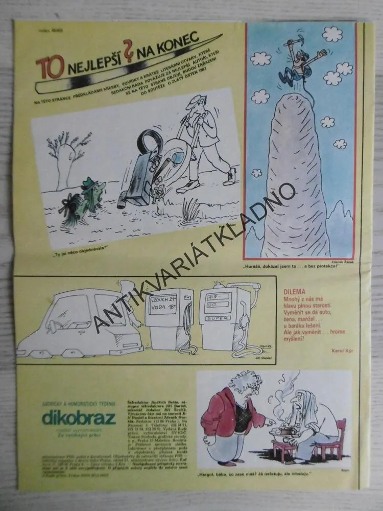 DIKOBRAZ 29/1987