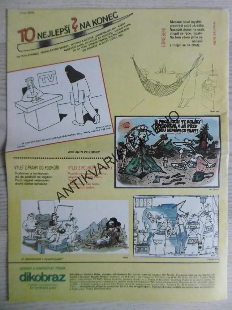 DIKOBRAZ 32/1987