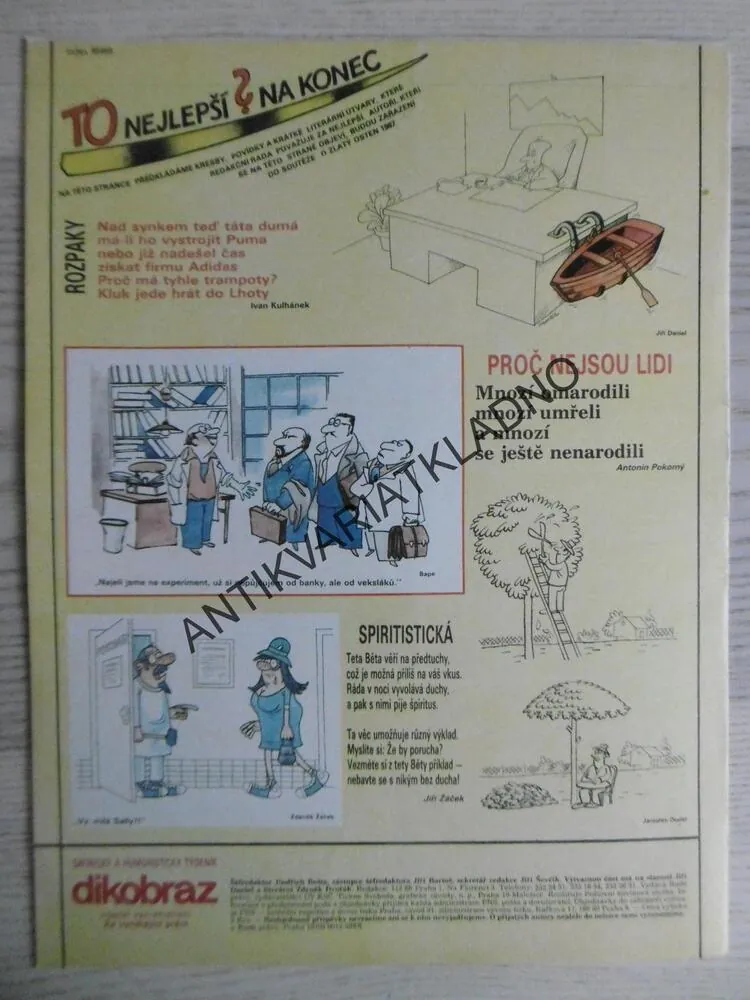 DIKOBRAZ 33/1987