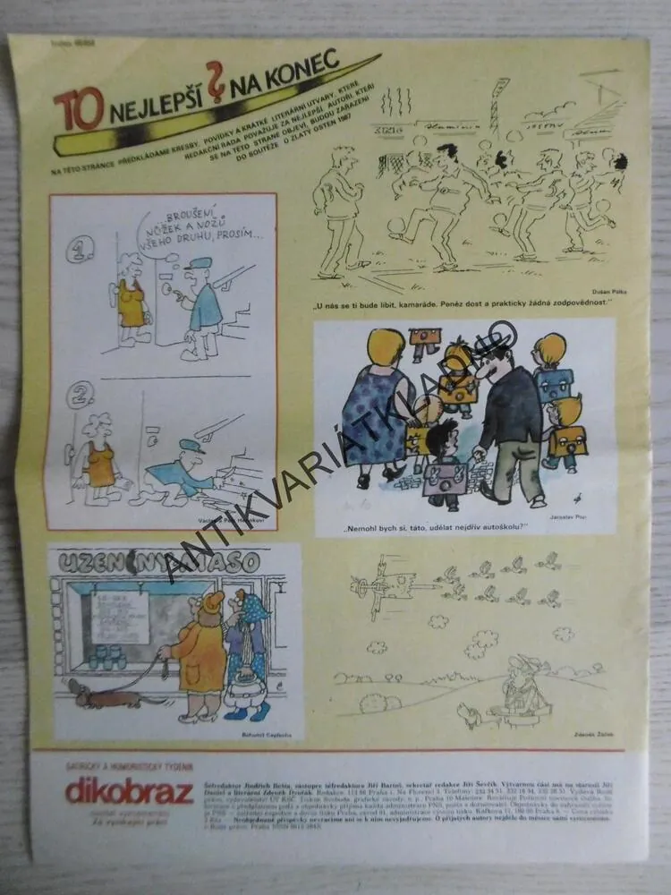 DIKOBRAZ 34/1987