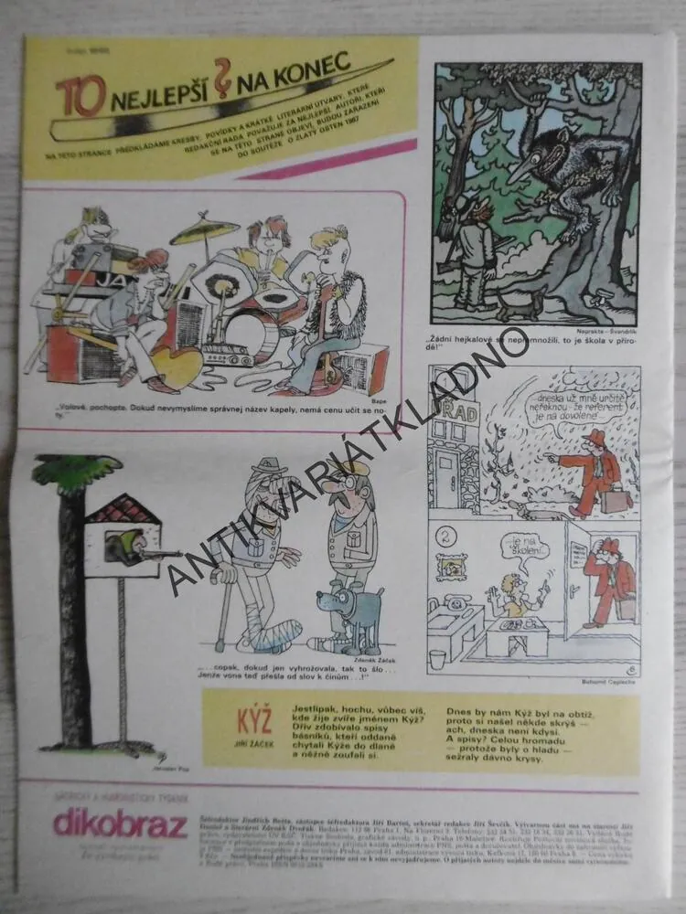 DIKOBRAZ 37/1987
