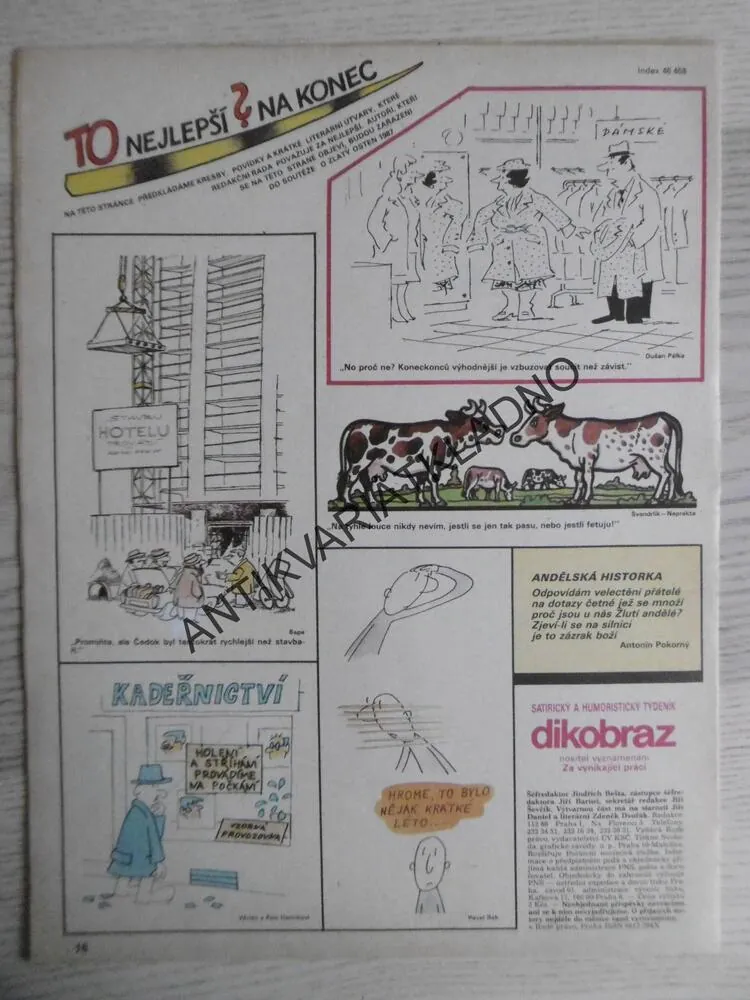 DIKOBRAZ 38/1987