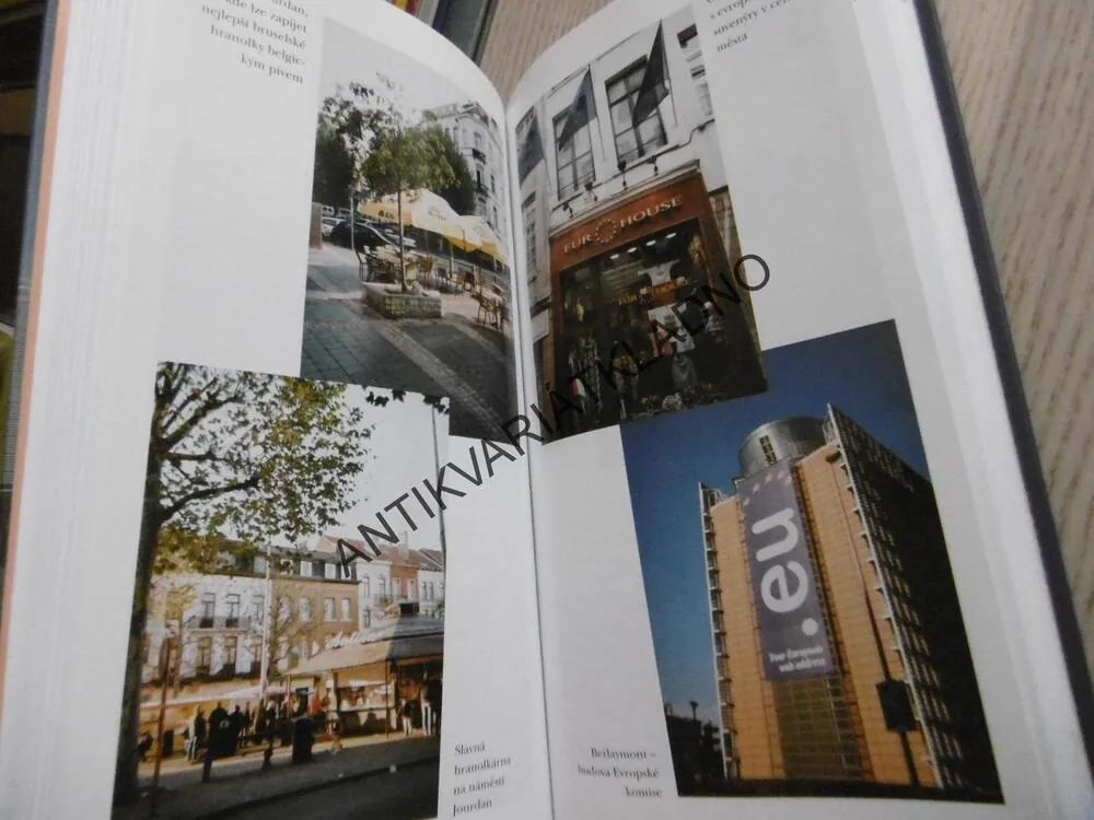 ZMATENÍ JAZYKŮ ANEB BRUSELSKÝ CESTOPIS, VERONIKA VALENTOVÁ, **an