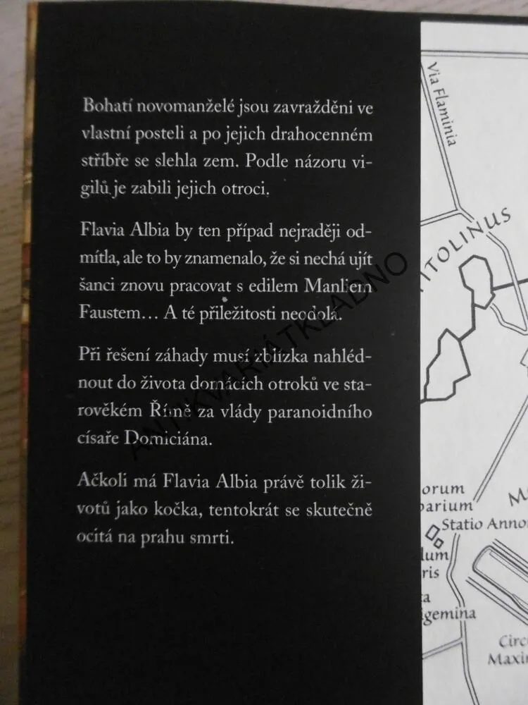 NEPŘÍTEL V DOMĚ, LINDSEY DAVISOVÁ, **an