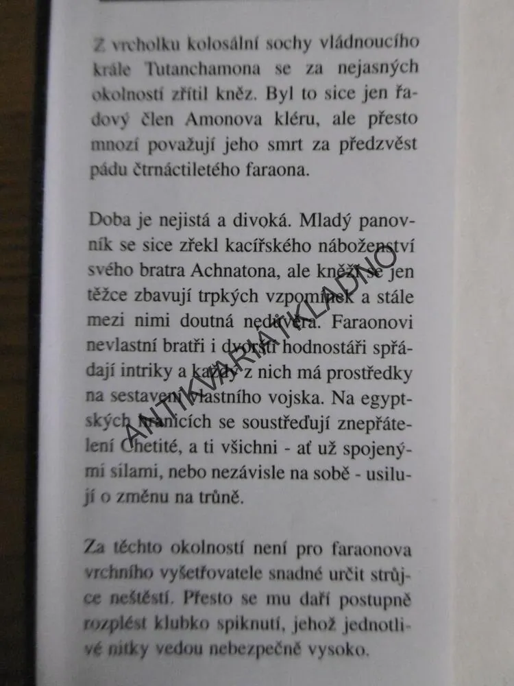 BOŽÍ BRÁNA, LYNDA S. ROBINSON, **an