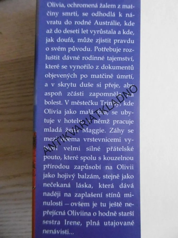 VZDÁLENÝ PŘÍSTAV, TAMARA MCKINLEY, **an