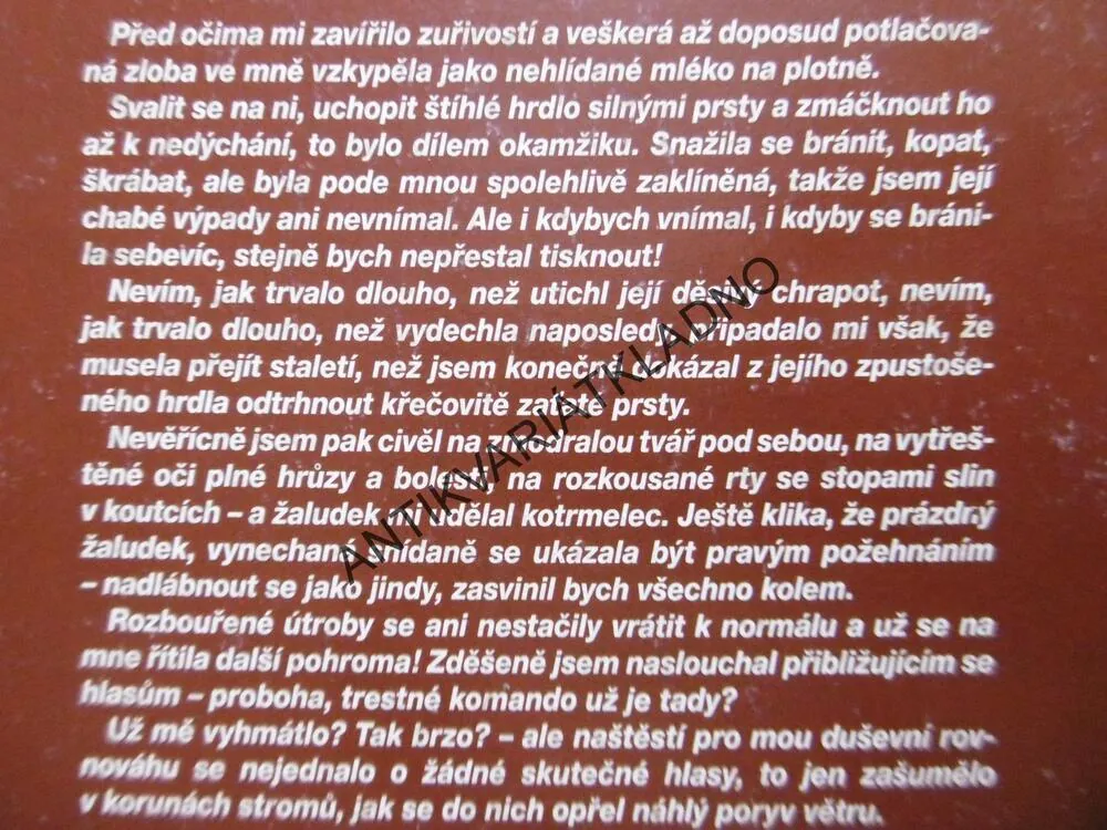 VRAŽEDNÝ PODRAZ, HANA DOUBKOVÁ, **an