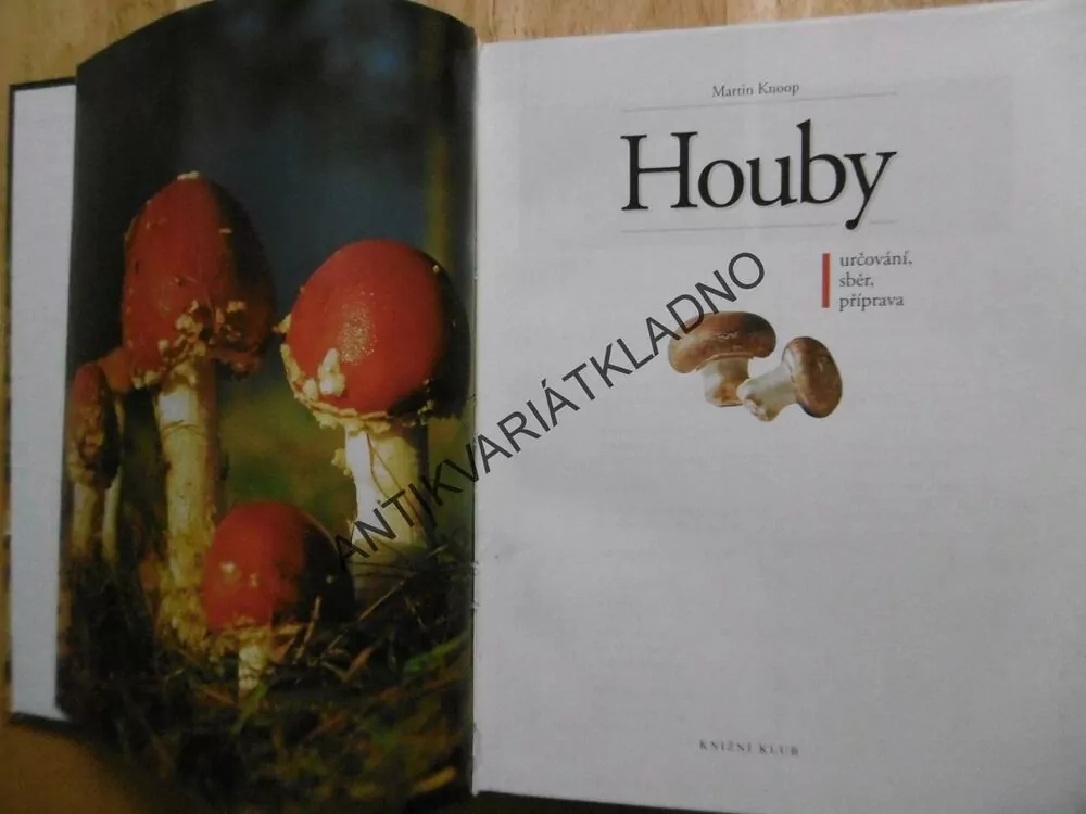 HOUBY,MARTIN KNOOP, URČOVÁNÍ, SBĚR, PŘÍPRAVA, MYKOLOGIE, **an