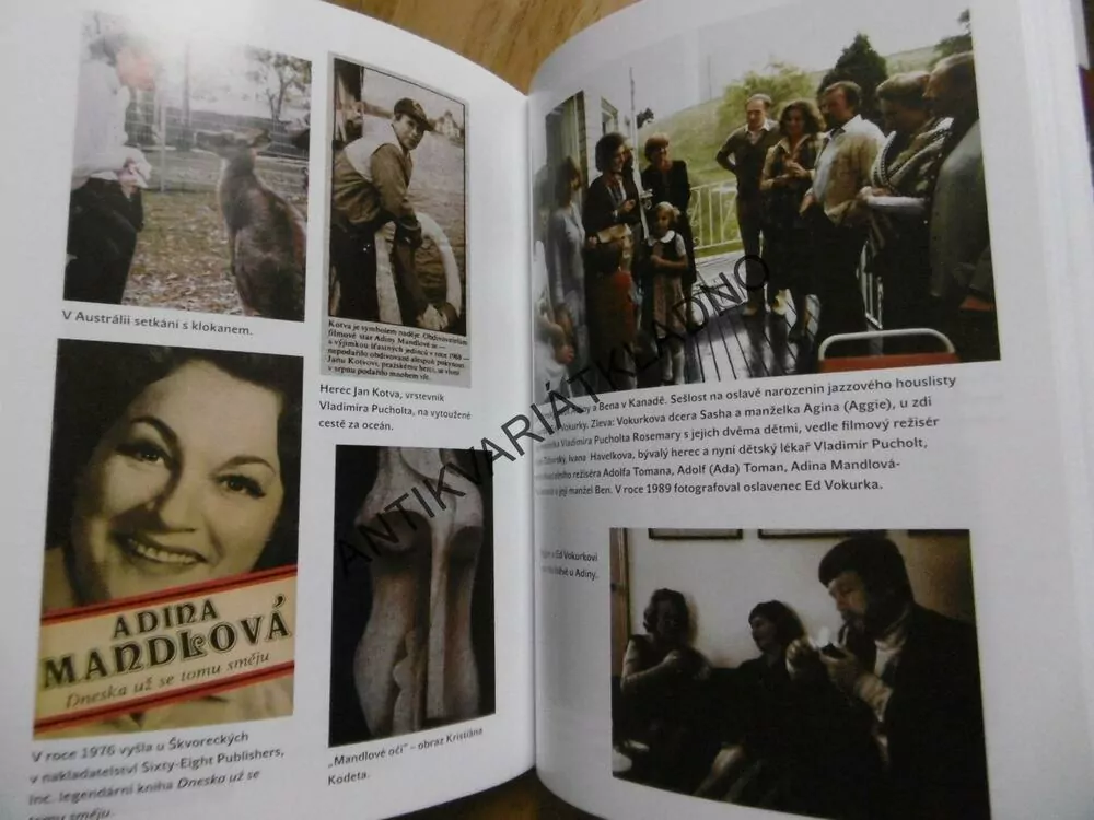 ČEMU SE SMÁLA ADINA MANDLOVÁ?, ONDŘEJ SUCHÝ, HEREČKA, FILM, **an