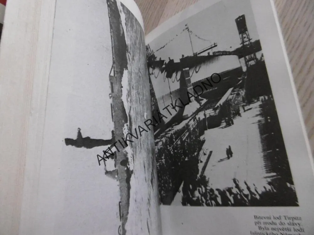 ZÁLUDNÉ MINIPONORKY, J. BOROTSKÝM A. KUNEŠ, **an