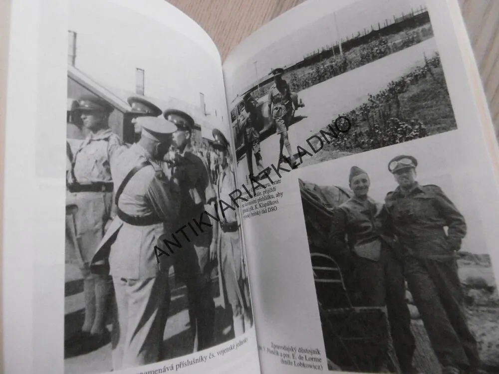 VE ZNAMENÍ HALLEYOVY KOMETY, LADISLAV POSPÍŠIL, **an